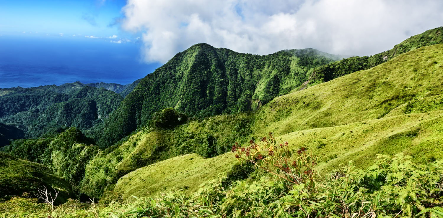 Martinique Vacation Packages | Martinique Resorts